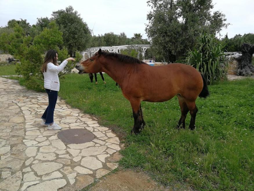 Masseria Sciaiani Piccola Villa Castelli Buitenkant foto