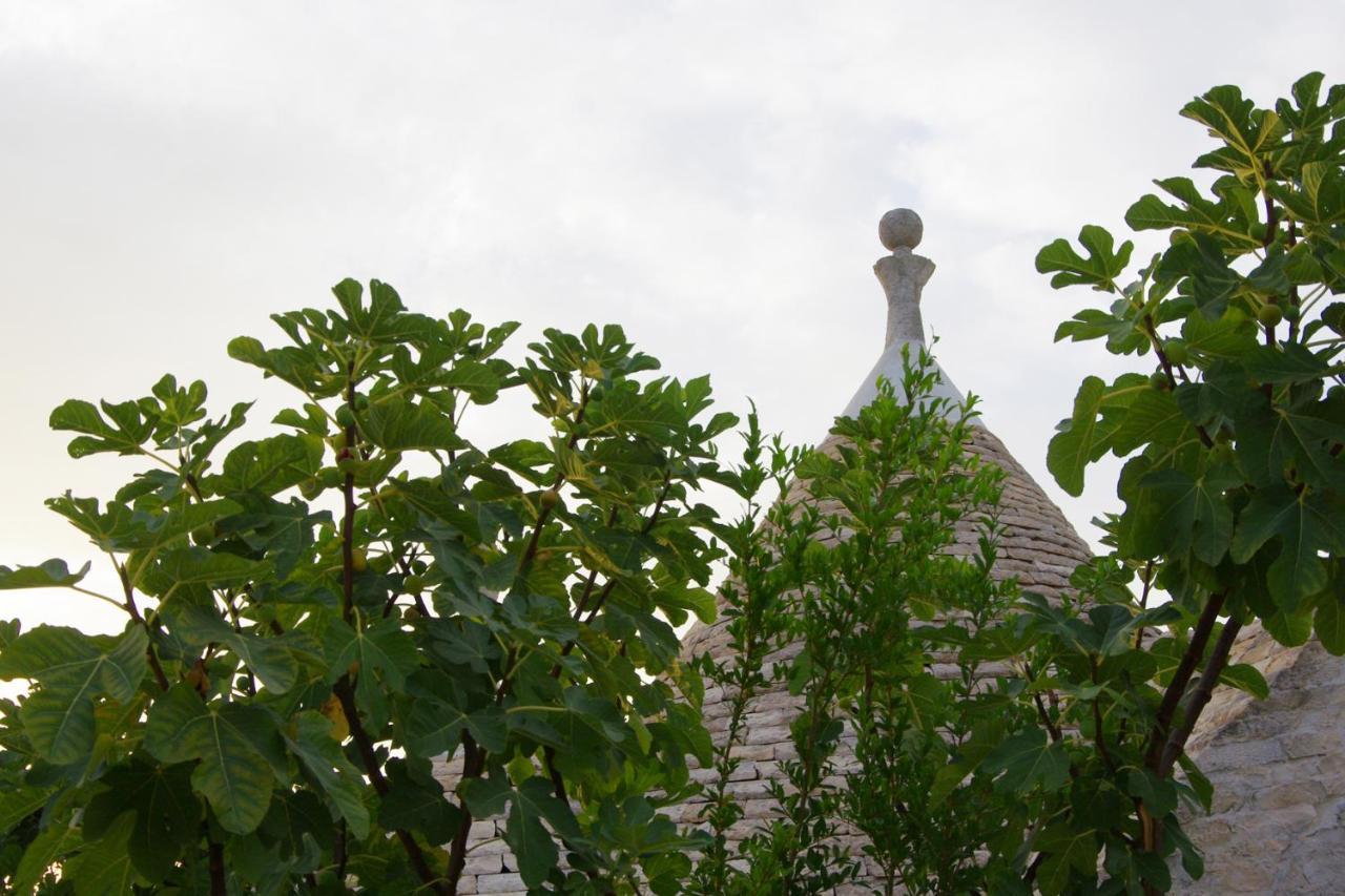 Masseria Sciaiani Piccola Villa Villa Castelli Buitenkant foto