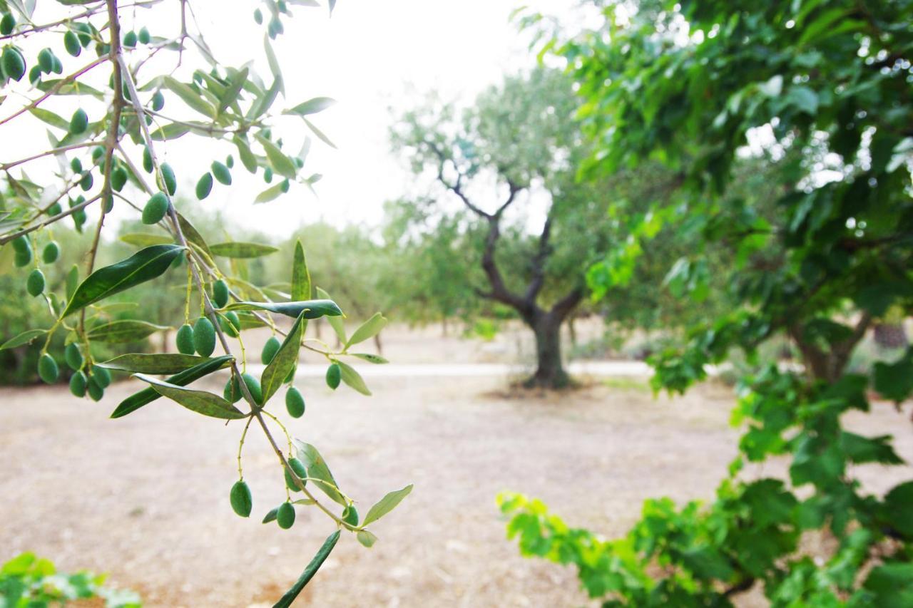 Masseria Sciaiani Piccola Villa Villa Castelli Buitenkant foto