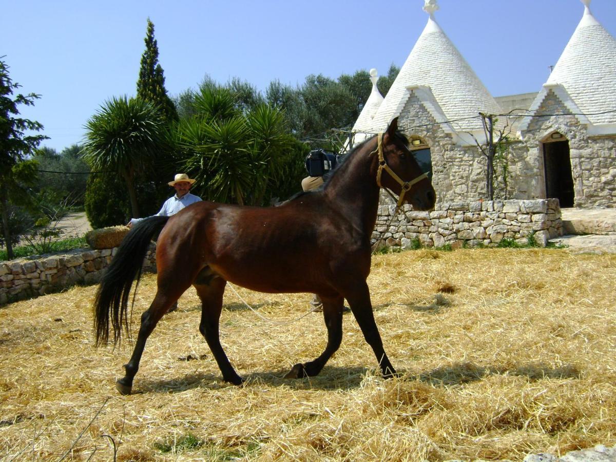 Masseria Sciaiani Piccola Villa Villa Castelli Buitenkant foto