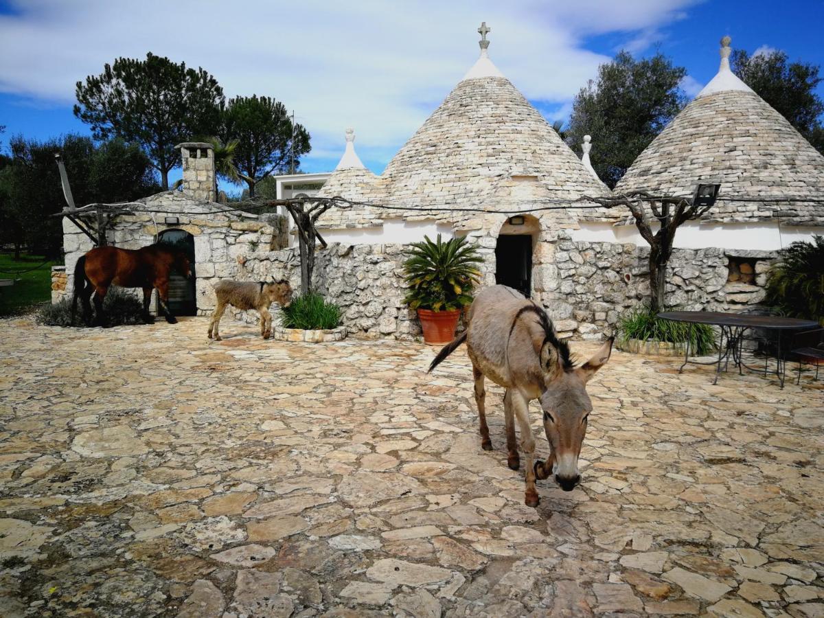 Masseria Sciaiani Piccola Villa Castelli Buitenkant foto