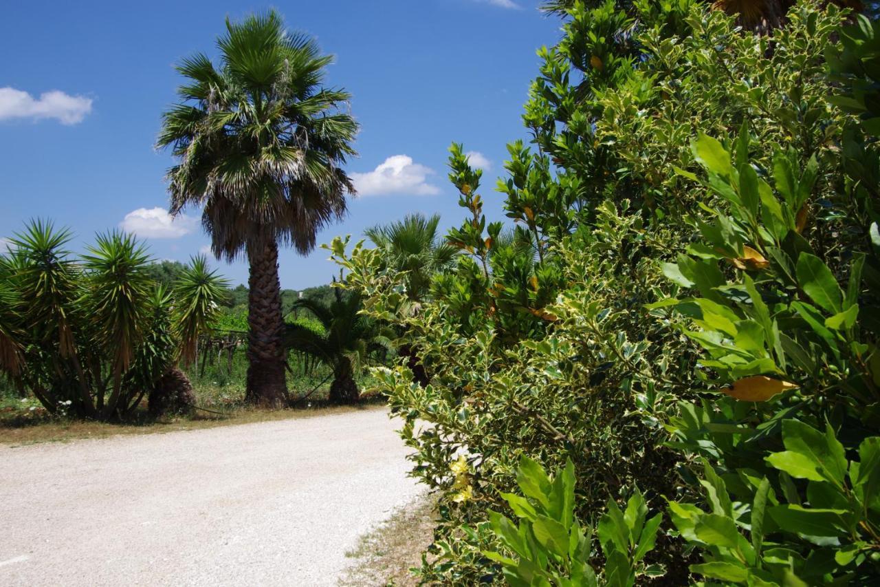 Masseria Sciaiani Piccola Villa Castelli Buitenkant foto