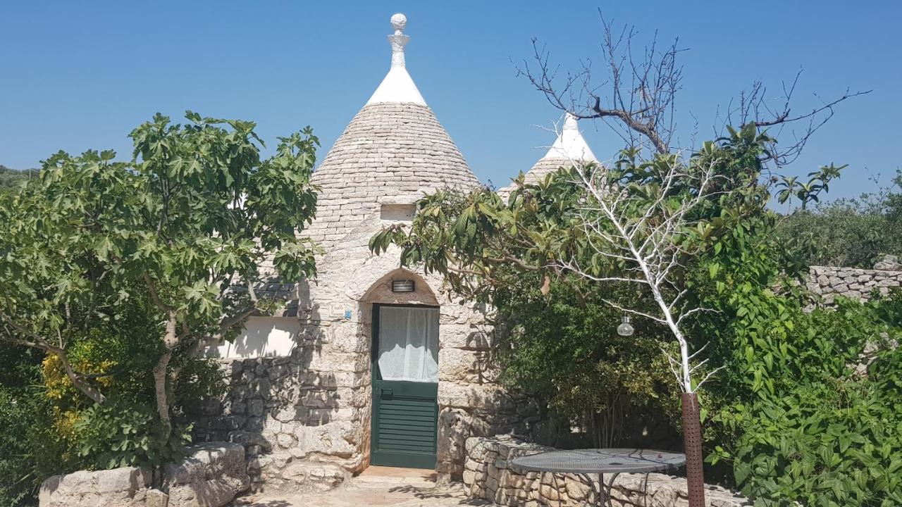Masseria Sciaiani Piccola Villa Castelli Buitenkant foto